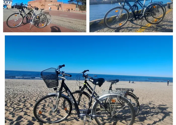 Porto Z Rowerami Gratis